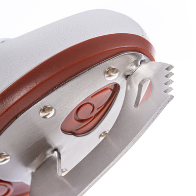 Chaya - Snowfall - 8