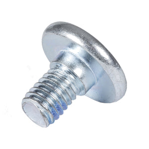 Hex Mounting Screw 10mm (1)