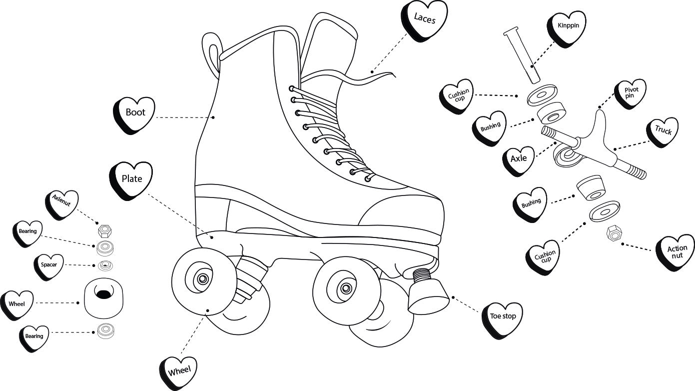 roller-skate-anatomy